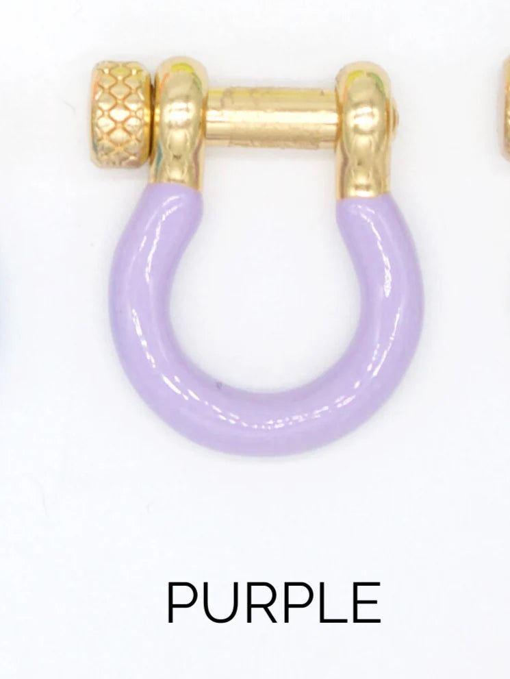 Enamel Colored Carabiner