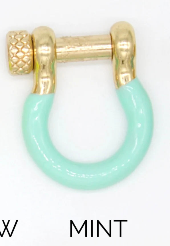 Enamel Colored Carabiner