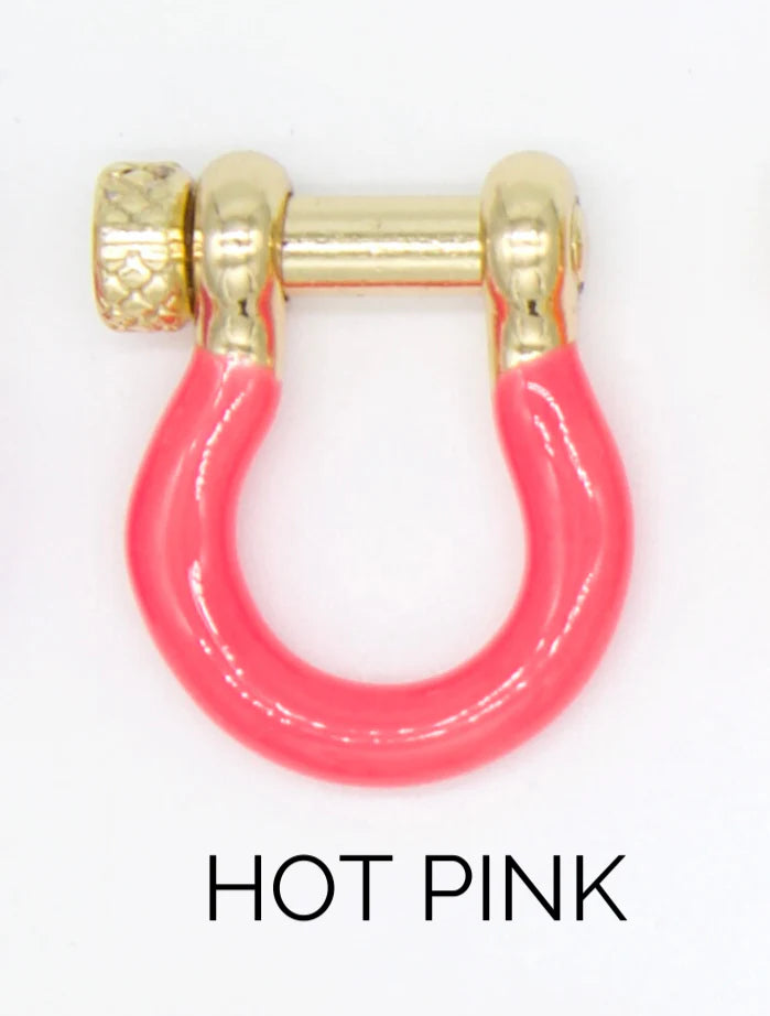 Enamel Colored Carabiner