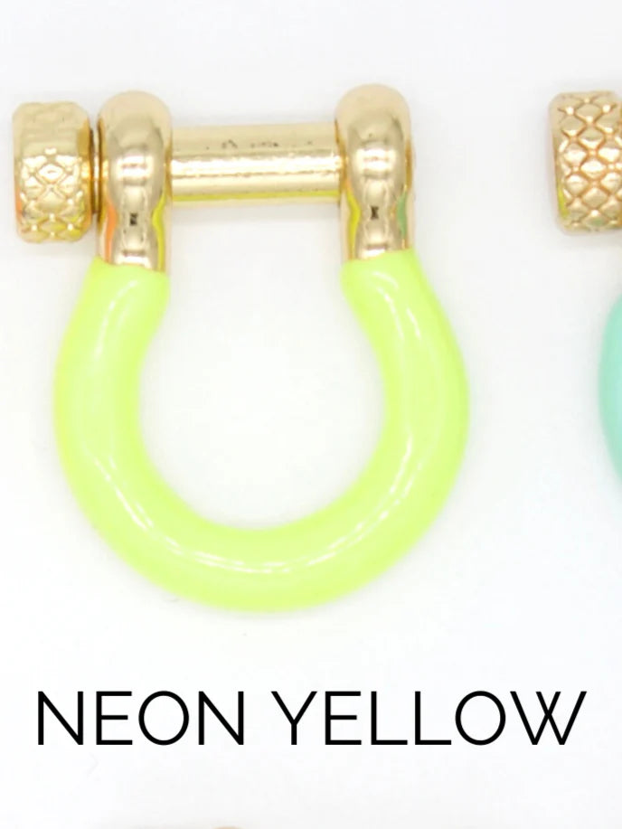 Enamel Colored Carabiner